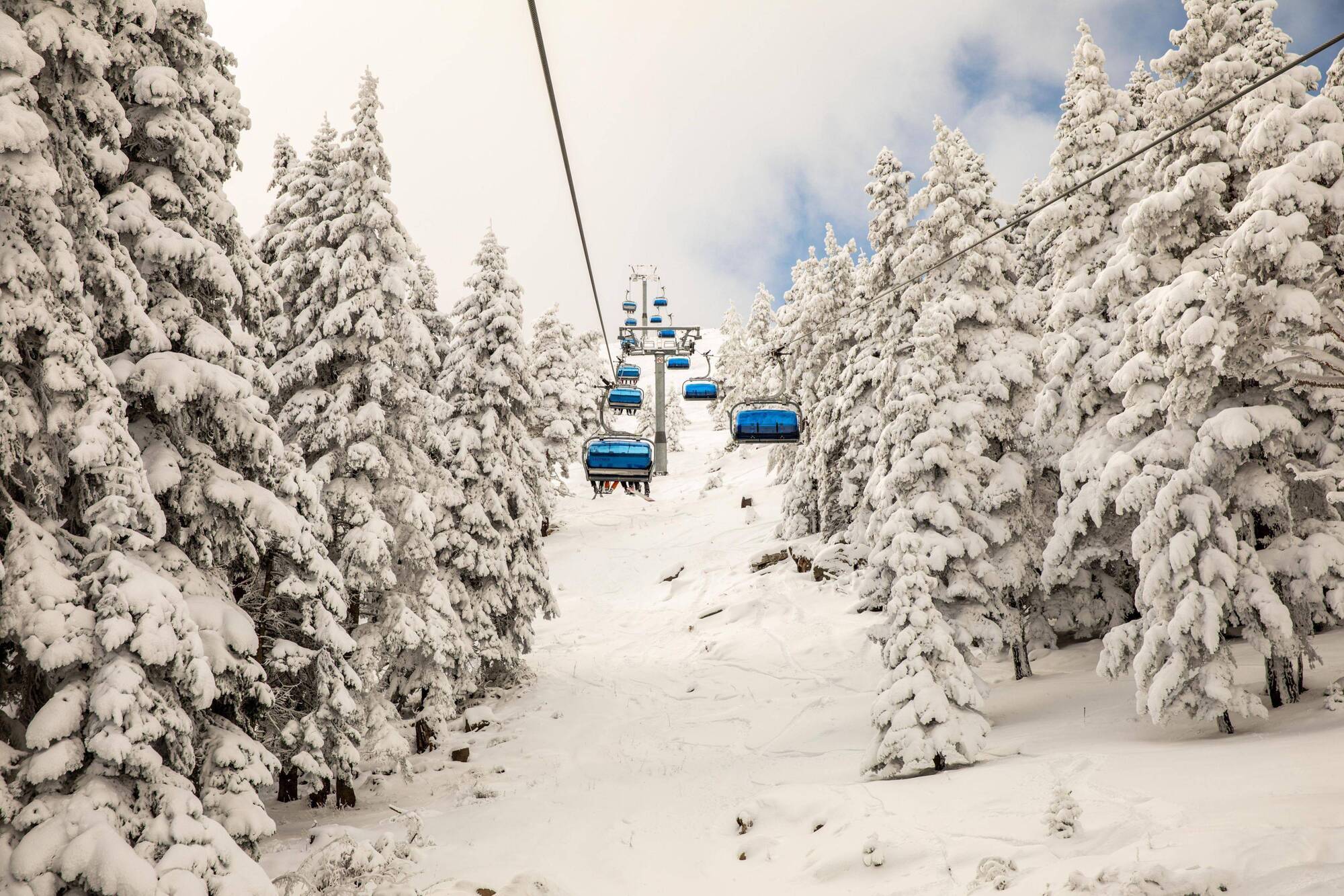 Dorukkaya Ski & Mountain Resort Bolu Exteriér fotografie